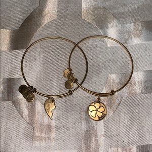 Alex and Ani (Friend)